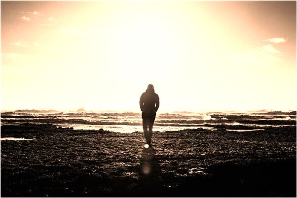 夢到楚見被狐狸迷住是什麼預兆_周公解夢官網