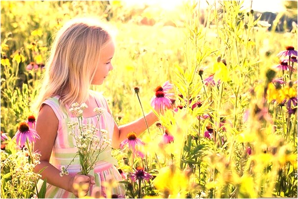 夢到了家人開車撞到人有什麼寓意嗎_周公解夢官網