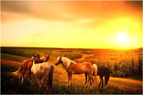 夢到了自己陰道排出大量血塊意味著什麼_周公解夢官網