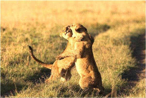 夢到了和不知道的人戀愛了是吉兆嗎?_周公解夢官網