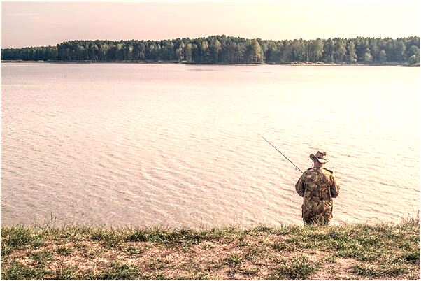 夢見引寶寶怎么說_周公解夢官網