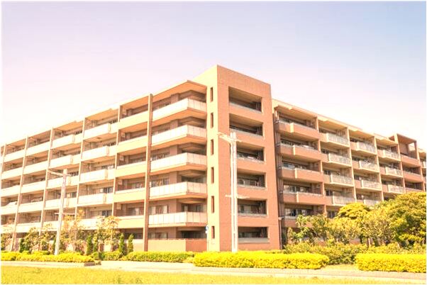 夢到了水裡面上的龍是咋回事_周公解夢官網