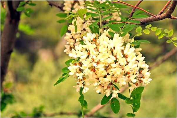 夢見身體內有針代表著什麼？_周公解夢官網