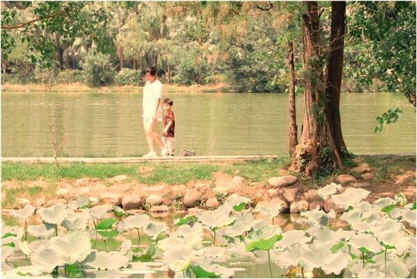 夢到了宿舍屋頂垮塌有什麼寓意嗎_周公解夢官網