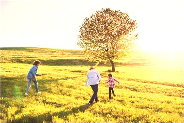 夢到了別人在等公共汽車是什麼兆頭_周公解夢官網
