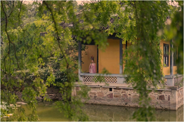 夢到了鐵觀音開花代表著什麼_周公解夢官網