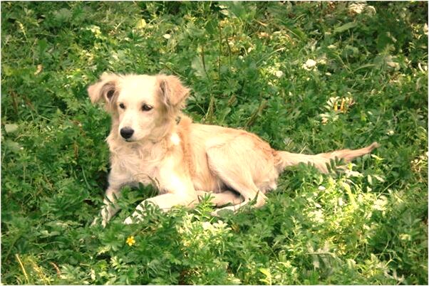 夢到了別人給錢沒要意味著什麼_周公解夢官網