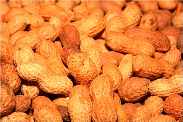 夢到了踩上砍肉桌又下來是什麼意思？_周公解夢官網