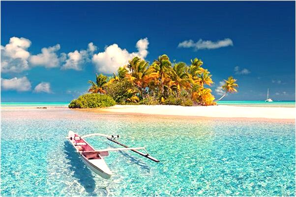 夢見爐子裡考饅頭有什麼意思_周公解夢官網