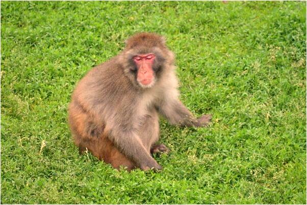 夢見上級跟我一起收貨簽單有什麼寓意嗎_周公解夢官網