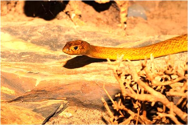 夢見老婆在上位和我做愛什麼預兆_周公解夢官網