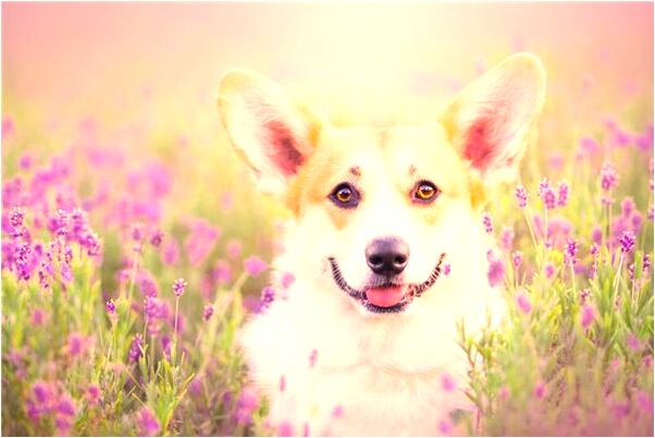 夢到了數字零零零零零叄柒是不是好的徵兆呢_周公解夢官網