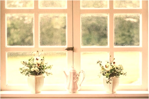 夢見買子姜會是什麼預兆_周公解夢官網