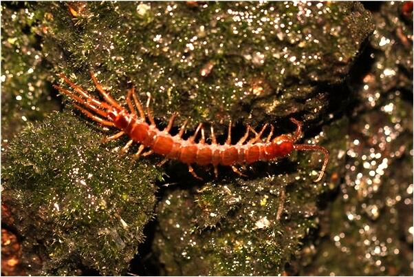 夢到洗衣服呢盆漏了是咋回事_周公解夢官網