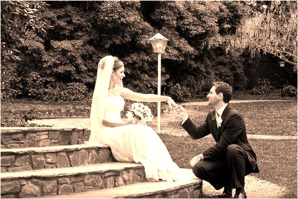 夢到了摘各種疏菜是什麼啟示_周公解夢官網