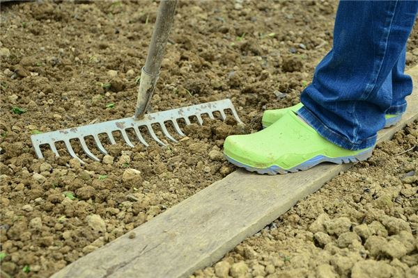 夢到土埋人啥意思_周公解夢