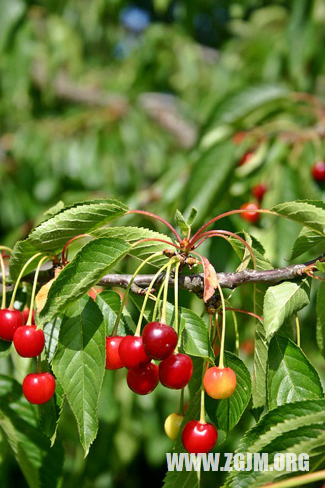 夢見被批評_周公解夢夢到被批評是什麼意思_做夢夢見被批評好不好_周公解夢官網