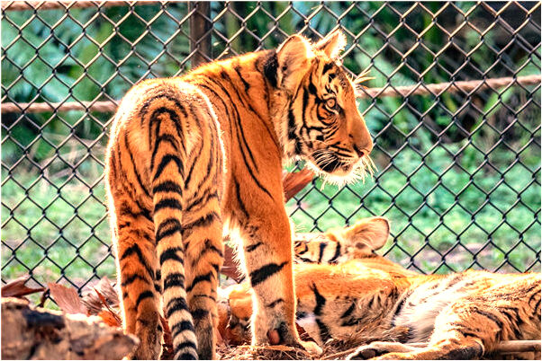 夢到去世外婆和自己說話什麼預兆_周公解夢官網