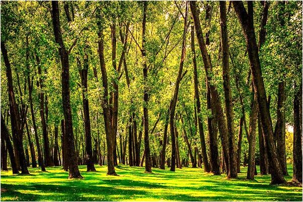 夢到自己和孩子的衣服掉到井裡有什麼預兆_周公解夢官網