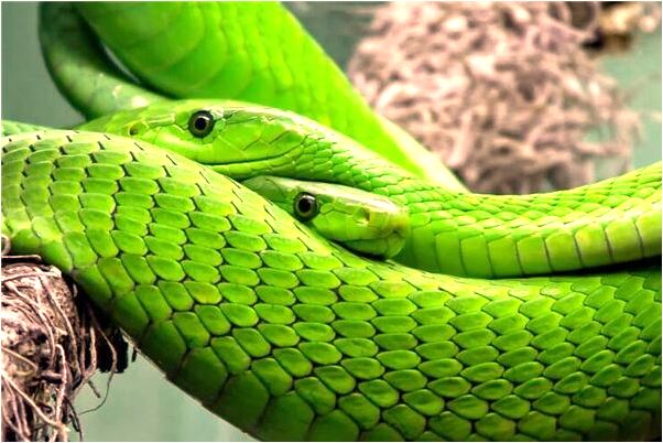 夢見用水刷地會是什麼預兆_周公解夢官網