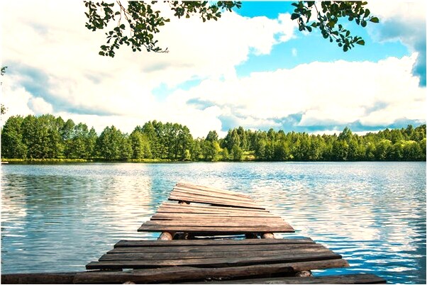 夢見狗眼睛紅了是什麼意思_周公解夢官網