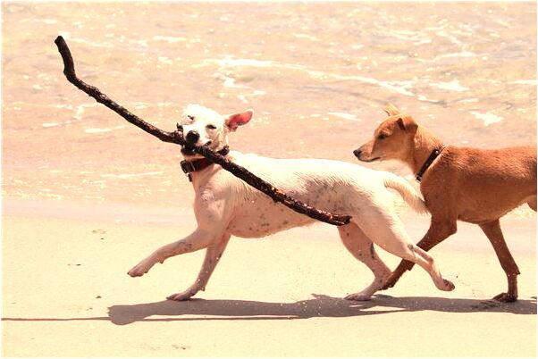 夢見賄賂我是什麼徵兆_周公解夢官網