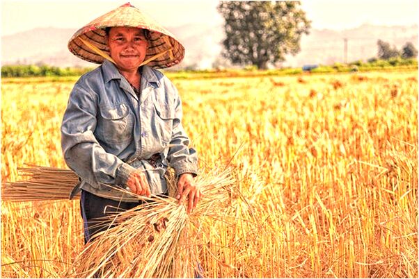 夢到了兒子被三輪車帶走是什麼徵兆_周公解夢官網