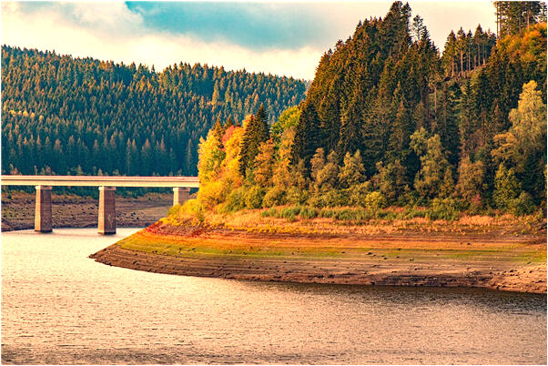 夢見被蛇咬出血了什麼預兆_周公解夢官網