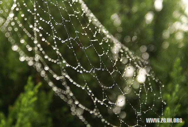 夢見人死了又復活_周公解夢夢到人死了又復活是什麼意思_做夢夢見人死了又復活好不好_周公解夢官網