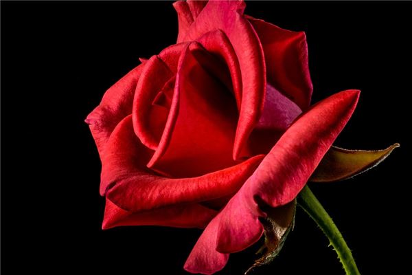 夢見大紅好不好_周公解夢