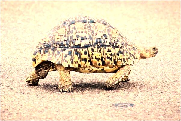 夢見挨澆了是什麼啟示_周公解夢官網