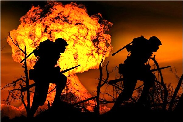 夢見好多羊在吃莊稼莊稼是什麼預兆?_周公解夢官網