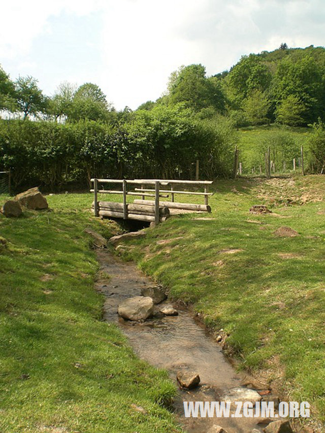 夢見一袋大米_周公解夢夢到一袋大米是什麼意思_做夢夢見一袋大米好不好_周公解夢官網