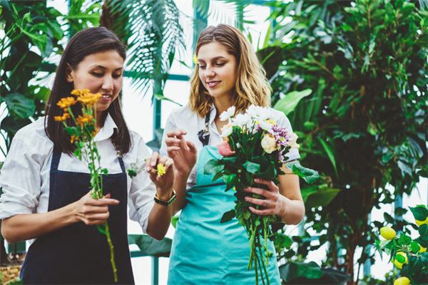 屬牛的最佳合作夥伴_十二生肖