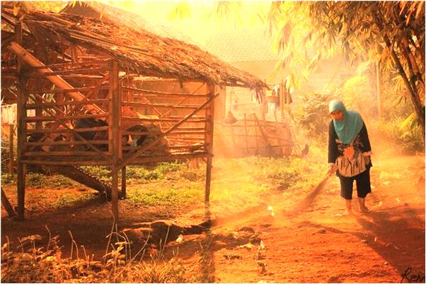 夢到了自己的陰毛掉落是什麼徵兆_周公解夢官網