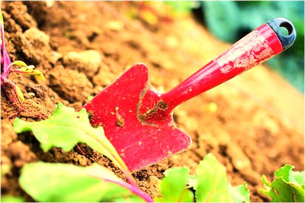 夢見遇見一男生有何寓意_周公解夢官網