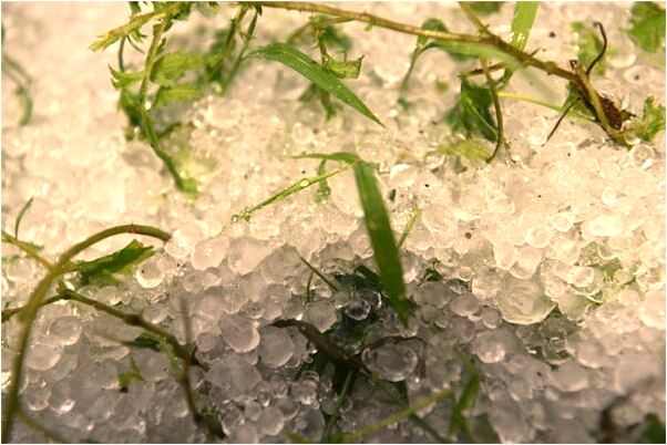 夢到送錢給流浪人會是什麼預兆_周公解夢官網