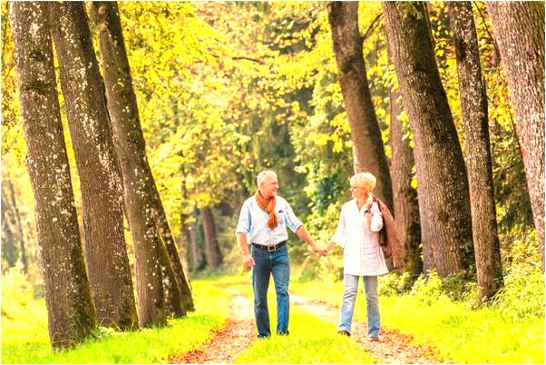夢到了有大蛇怎么的是什麼預兆_周公解夢官網