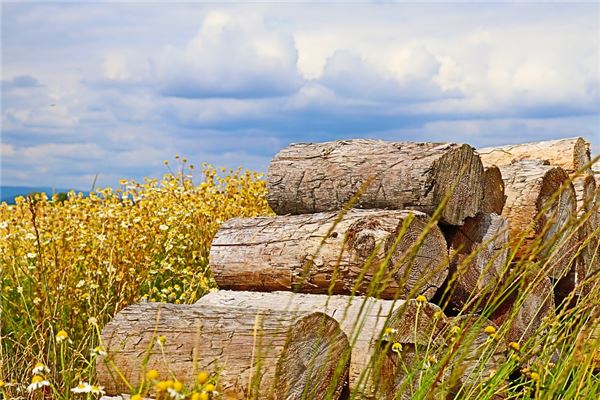 夢到了原木是好的徵兆嗎_周公解夢