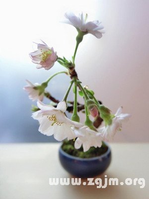 12星座與傷痛_十二星座