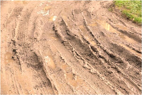 夢到好多無人駕駛的車在行駛是什麼啟示_周公解夢官網