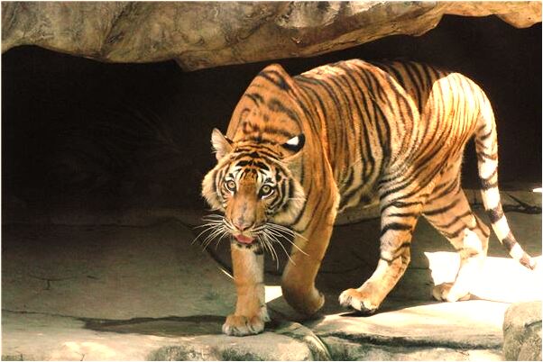 夢到有人在等自己是什麼預兆？_周公解夢官網