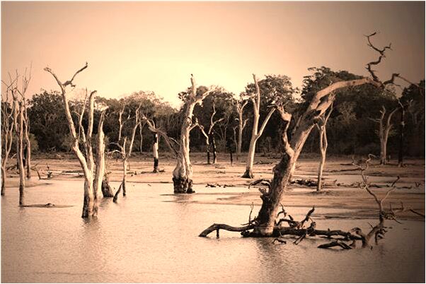 夢到了擁抱暗戀的男人是什麼徵兆_周公解夢官網