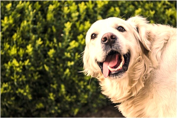 夢到了跟一個陌生男人親熱意味著什麼_周公解夢官網