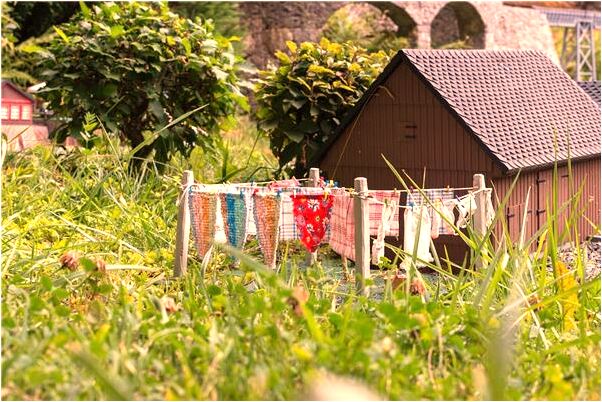 夢到梨樹上結梨有馬蜂有什麼徵兆_周公解夢官網