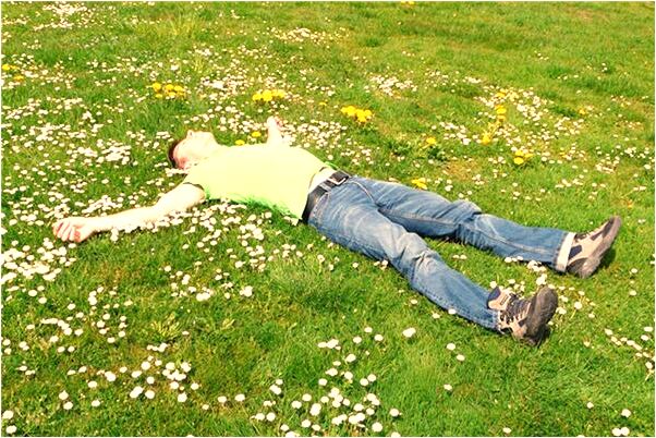 夢到老雄渾預示了什麼_周公解夢官網