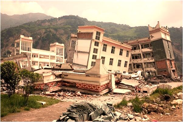 夢到大公雞把貓吃了是怎么回事_周公解夢官網