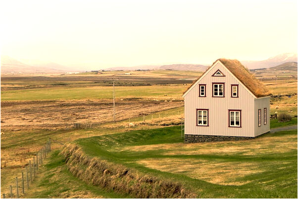 夢見摘花籽有什麼寓意嗎？_周公解夢官網