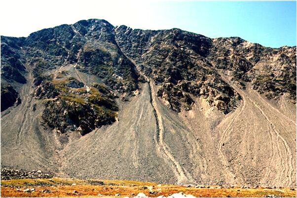 夢見房子外借有何寓意_周公解夢官網