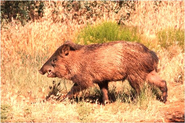 夢到了和老公一起掉到地陷里預兆了什麼嗎_周公解夢官網